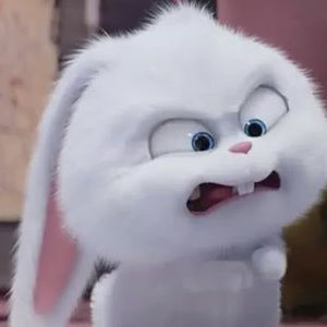 Meet your Posher, Natasha